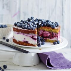 Quark-Sahne-Blaubeer-Torte