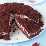 Erdbeer-Maulwurf-Torte