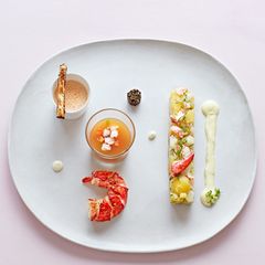 Hummersuppe und Hummergelee