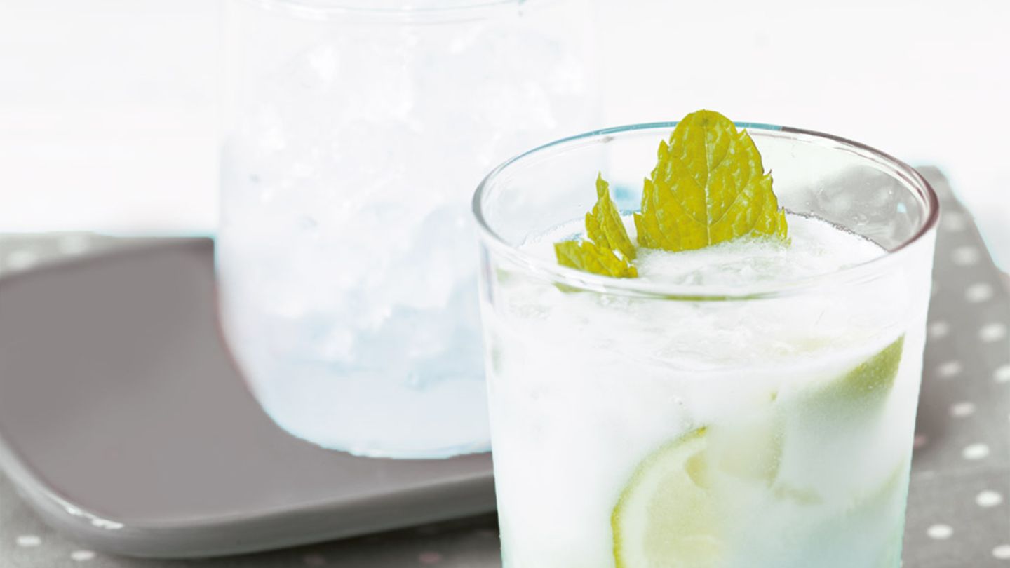 Coco Mojito Rezept