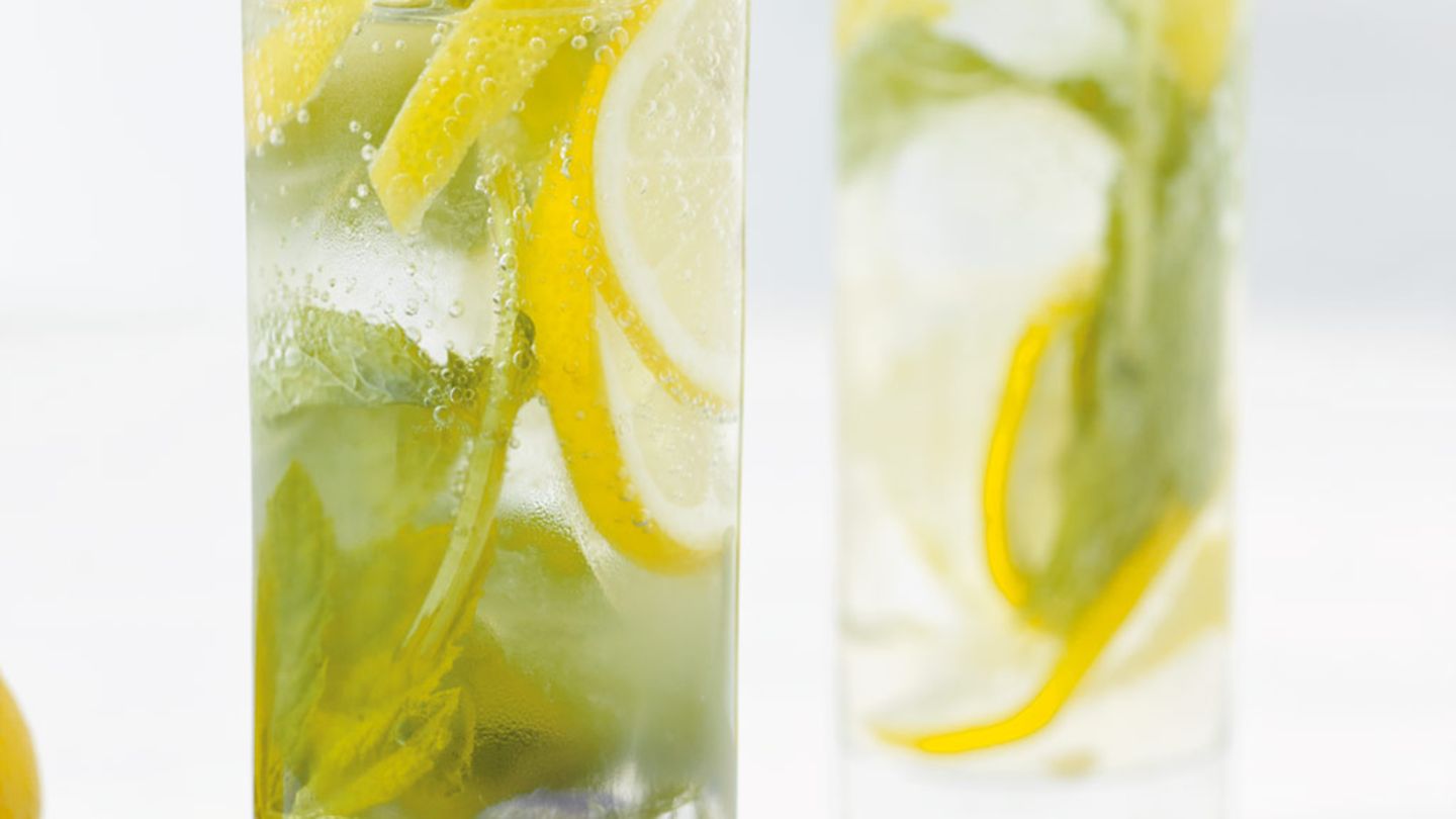 Mint Tonic Rezept