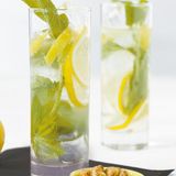 Mint Tonic