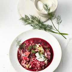 Borschtsch mit Gerstengraupen und Salzzitrone