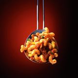 Spiralnudeln mit Lammragout