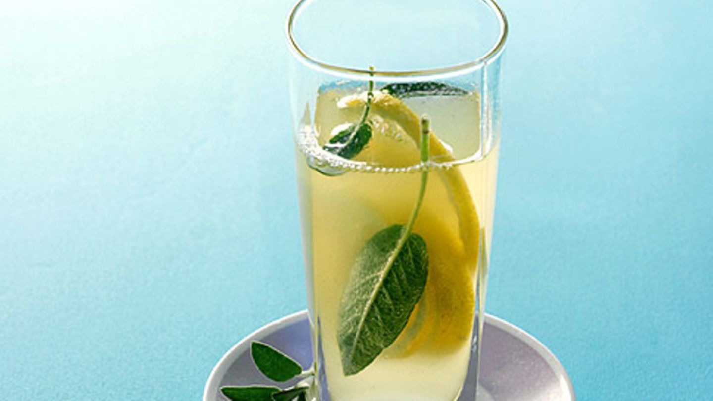 Salbei-Minz-Limonade Rezept