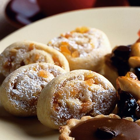 Exotische Stollenschnecken