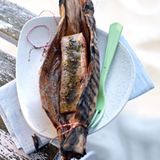 Paperbark-Lachs