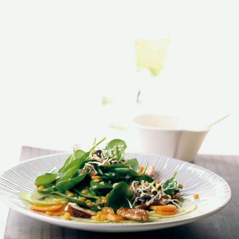 Linsensalat mit Hanf und Keimlingen
