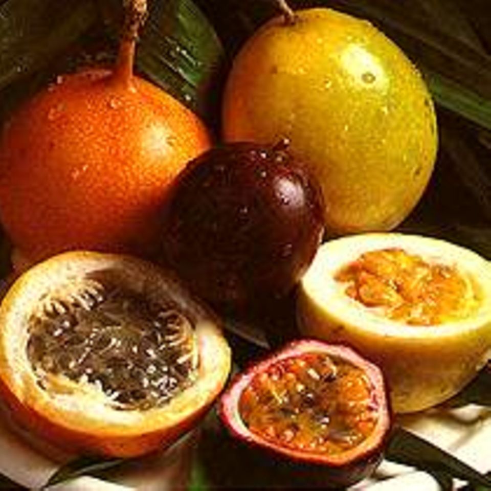 Tamarinden-Enten mit Passionsfruchtsauce