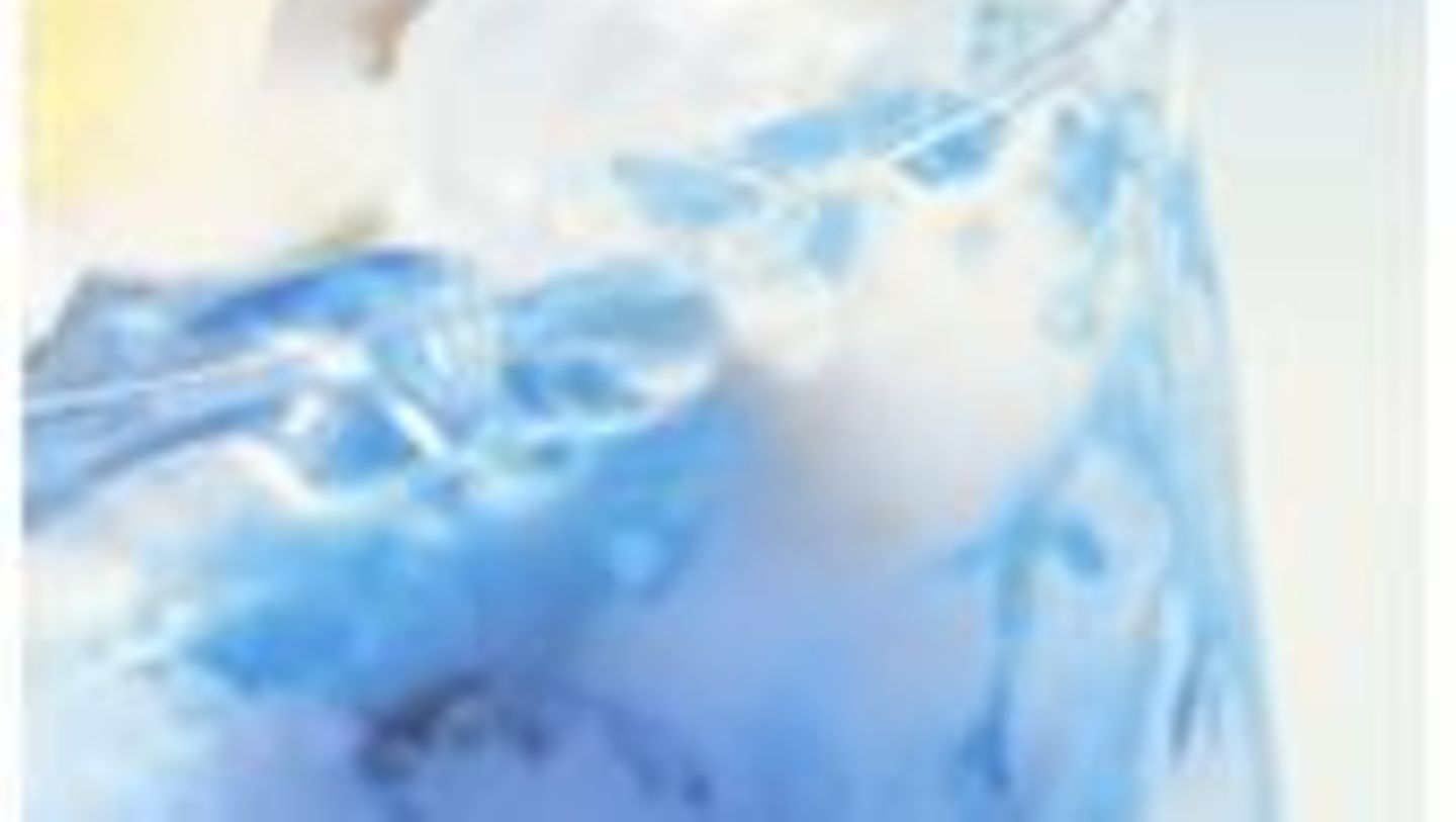 Swimming Pool-Rezept