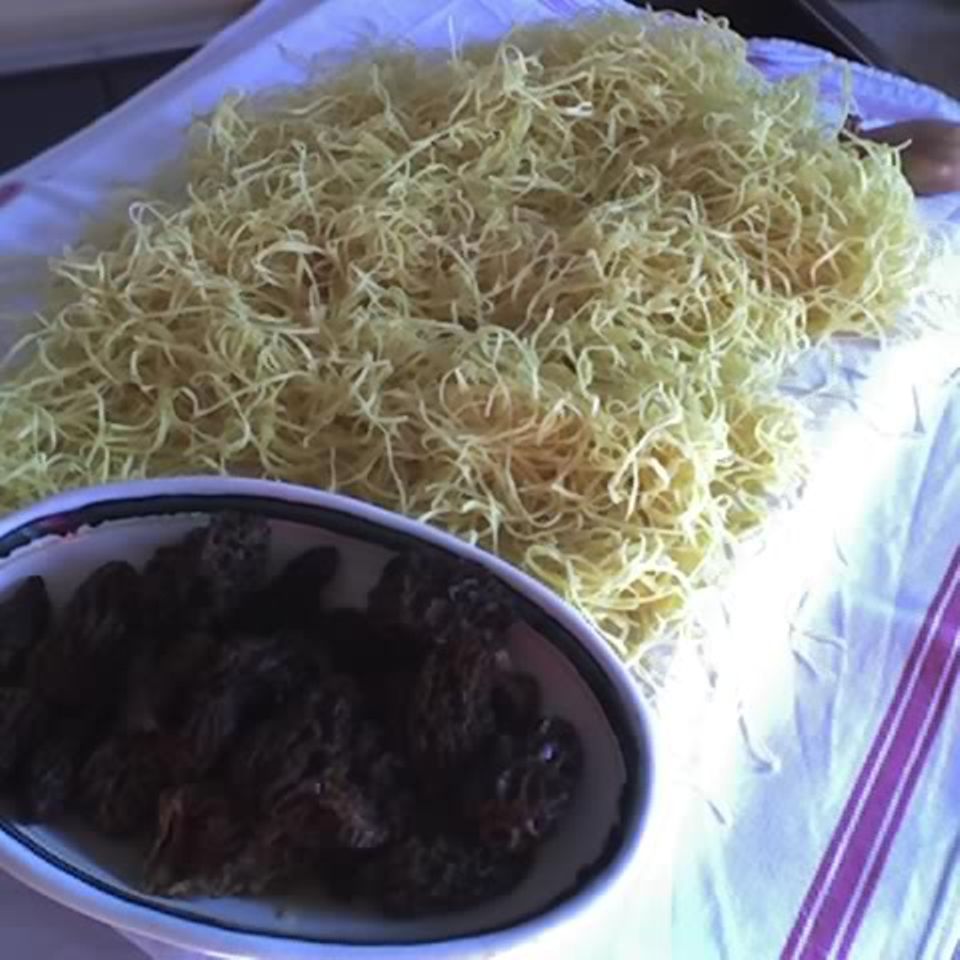 Dinkel-Taglierini mit Morcheln Rezept - [ESSEN UND TRINKEN]