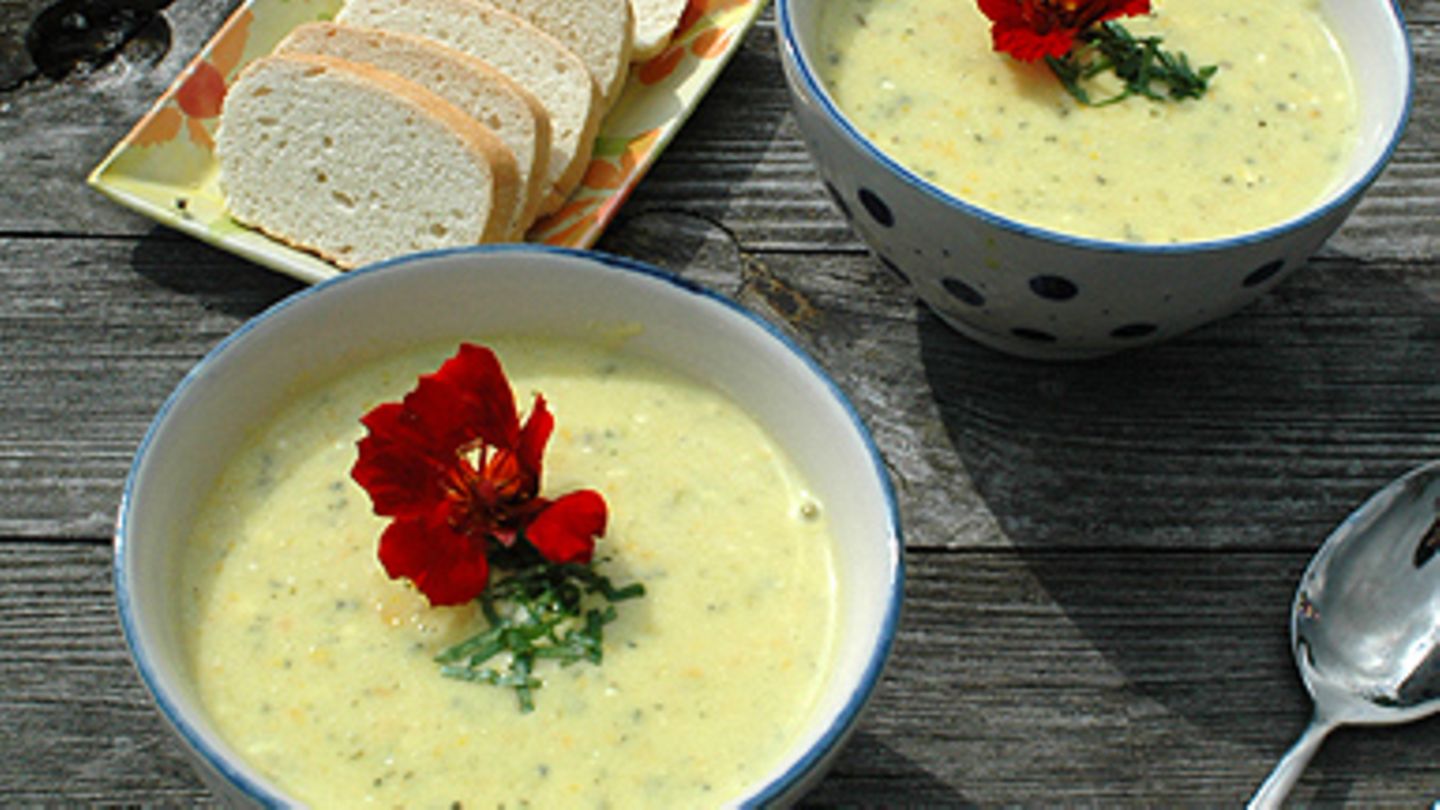 Zucchini-Käse-Creme-Suppe Rezept - [ESSEN UND TRINKEN]