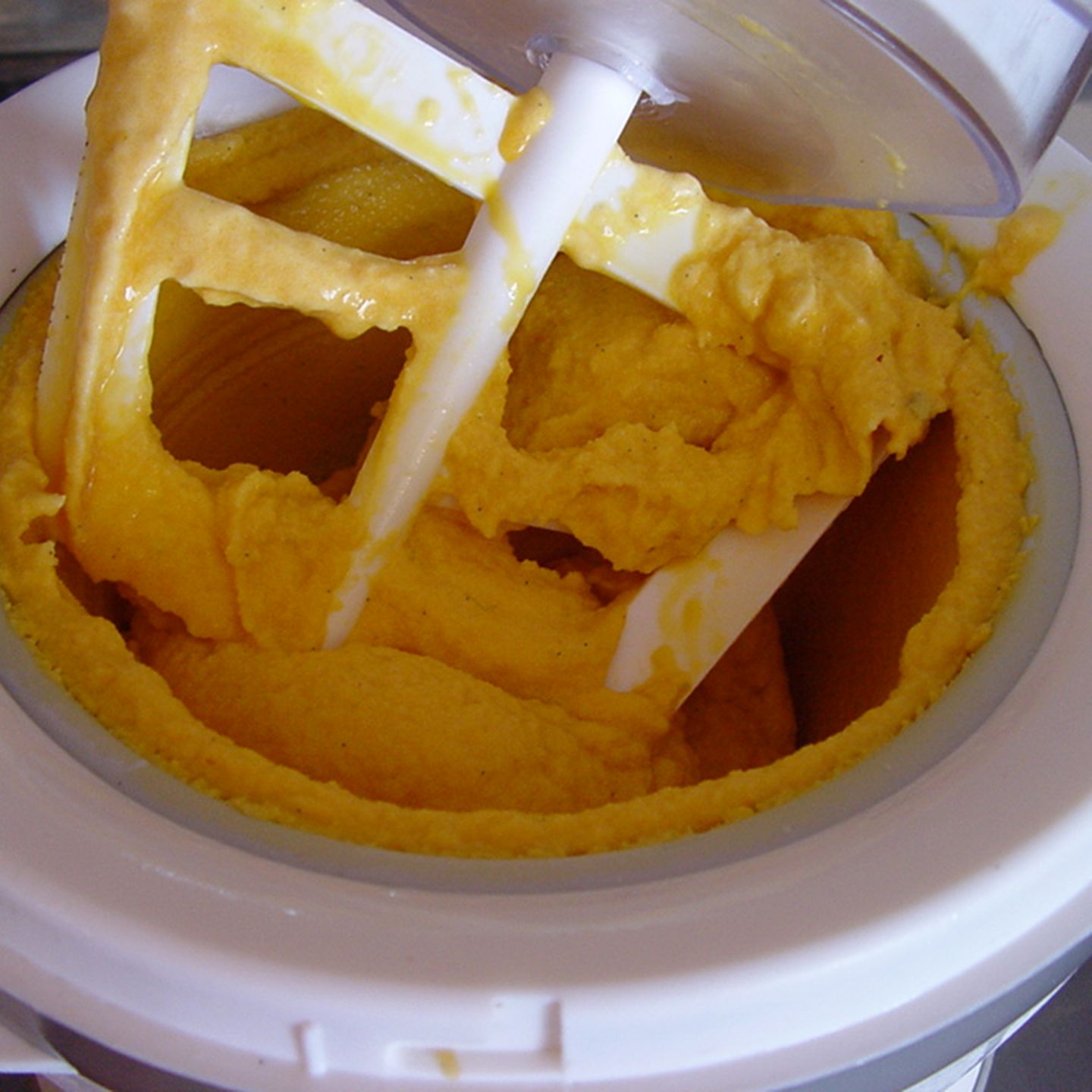 Kaktusfeigensorbet Rezept