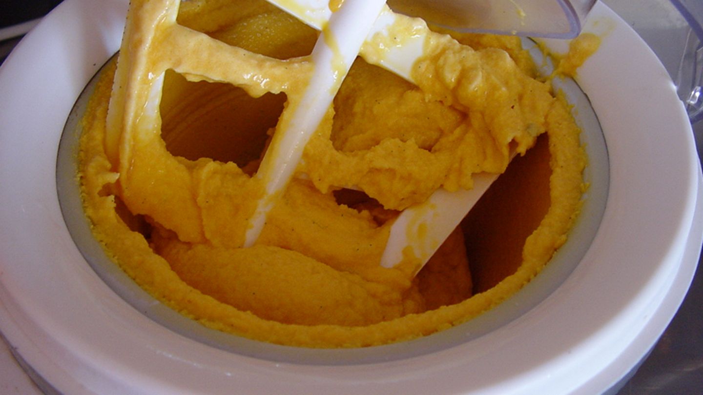 Kaktusfeigensorbet Rezept