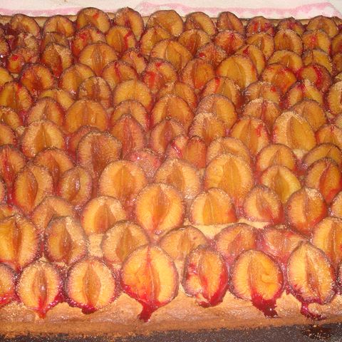 Pflaumenkuchen auf Nuss-Marzipan-Teig