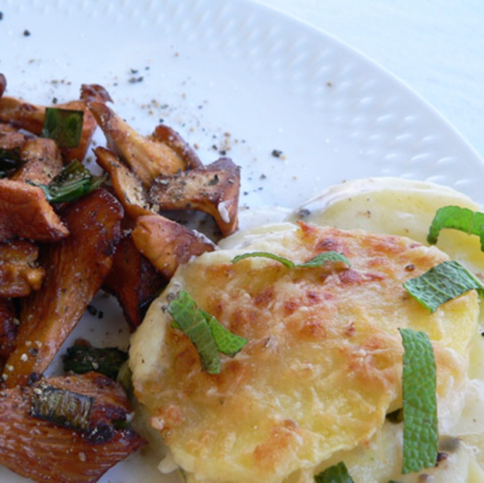 Gebratene Pfifferlinge und Kartoffelgratin mit Salbei und Rosmarin