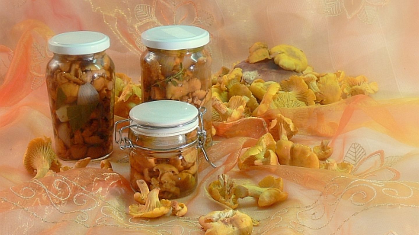 In Essig eingelegte Wildpilze Rezept