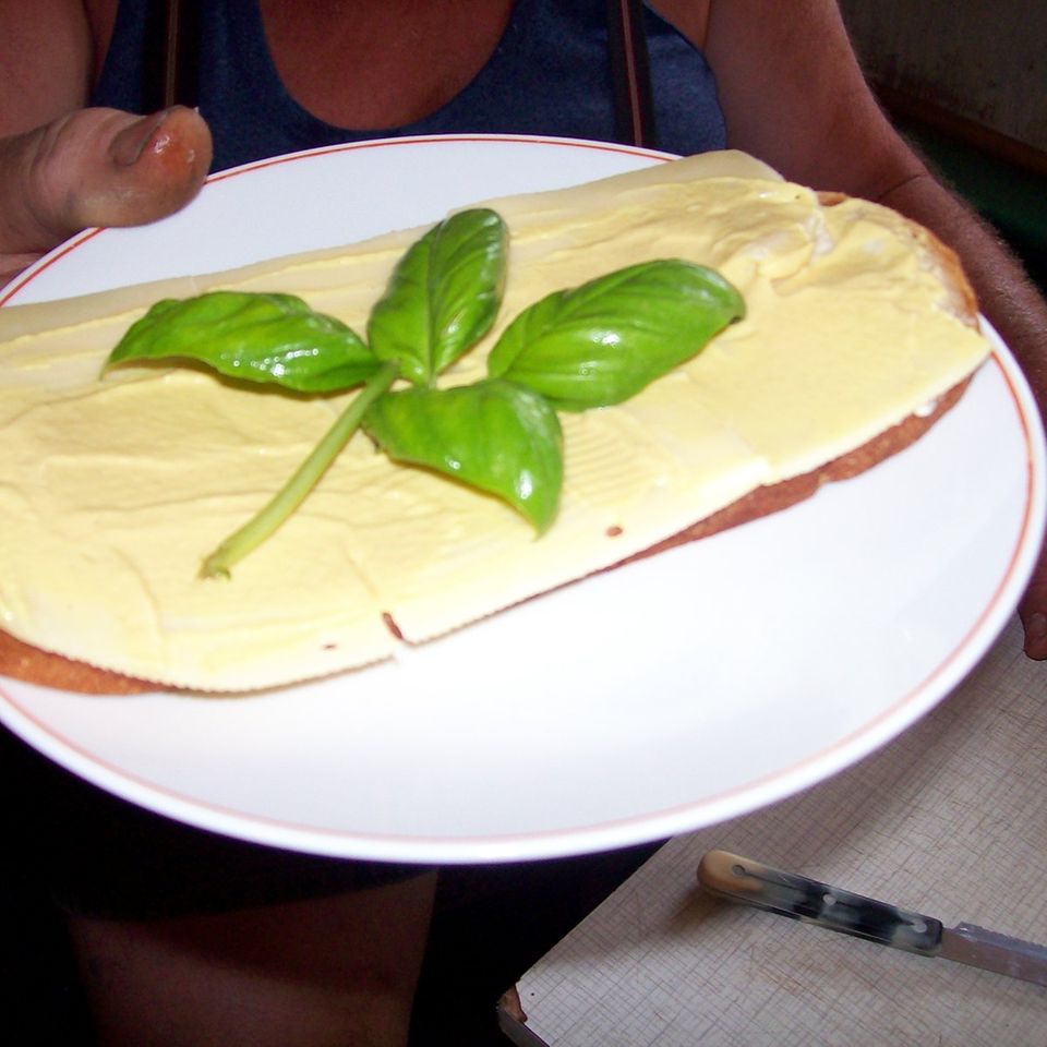 Käse-Senfbrot mit Basilikum