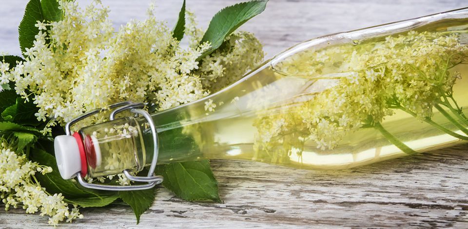 Aus Holunderblüten kann zum Beispiel Sirup gemacht werden. Aus Holunderblüten kann zum Beispiel Sirup gemacht werden.