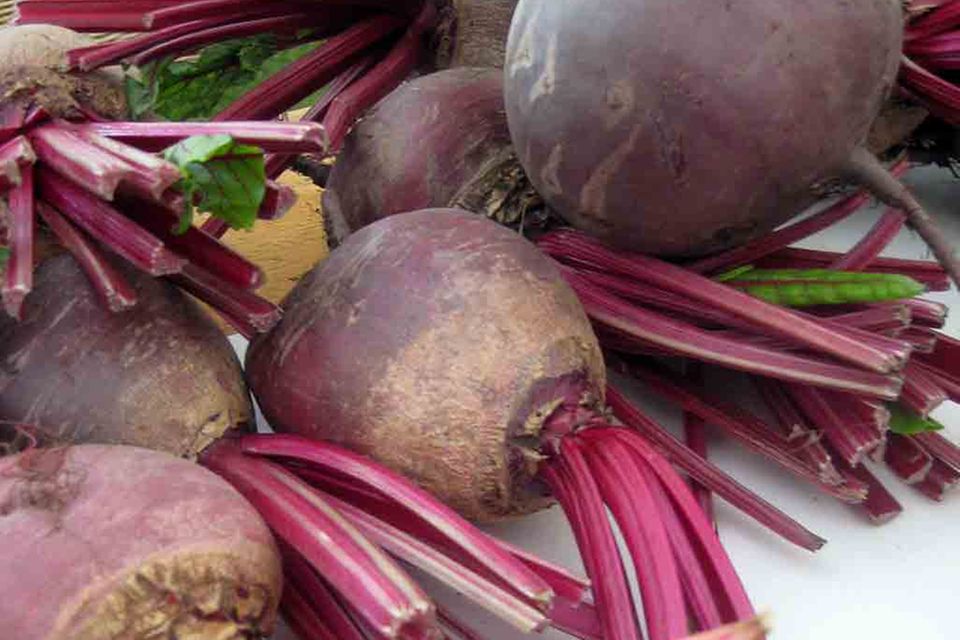 Rote Bete: Die Rübe sorgt für erdig-süßes Aroma Rote Bete: Die Rübe sorgt für erdig-süßes Aroma
