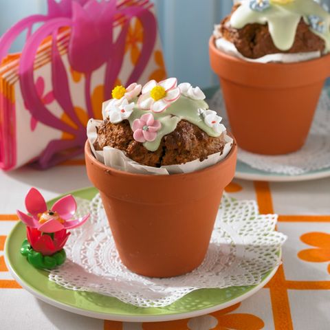 Blumentopf-Kuchen