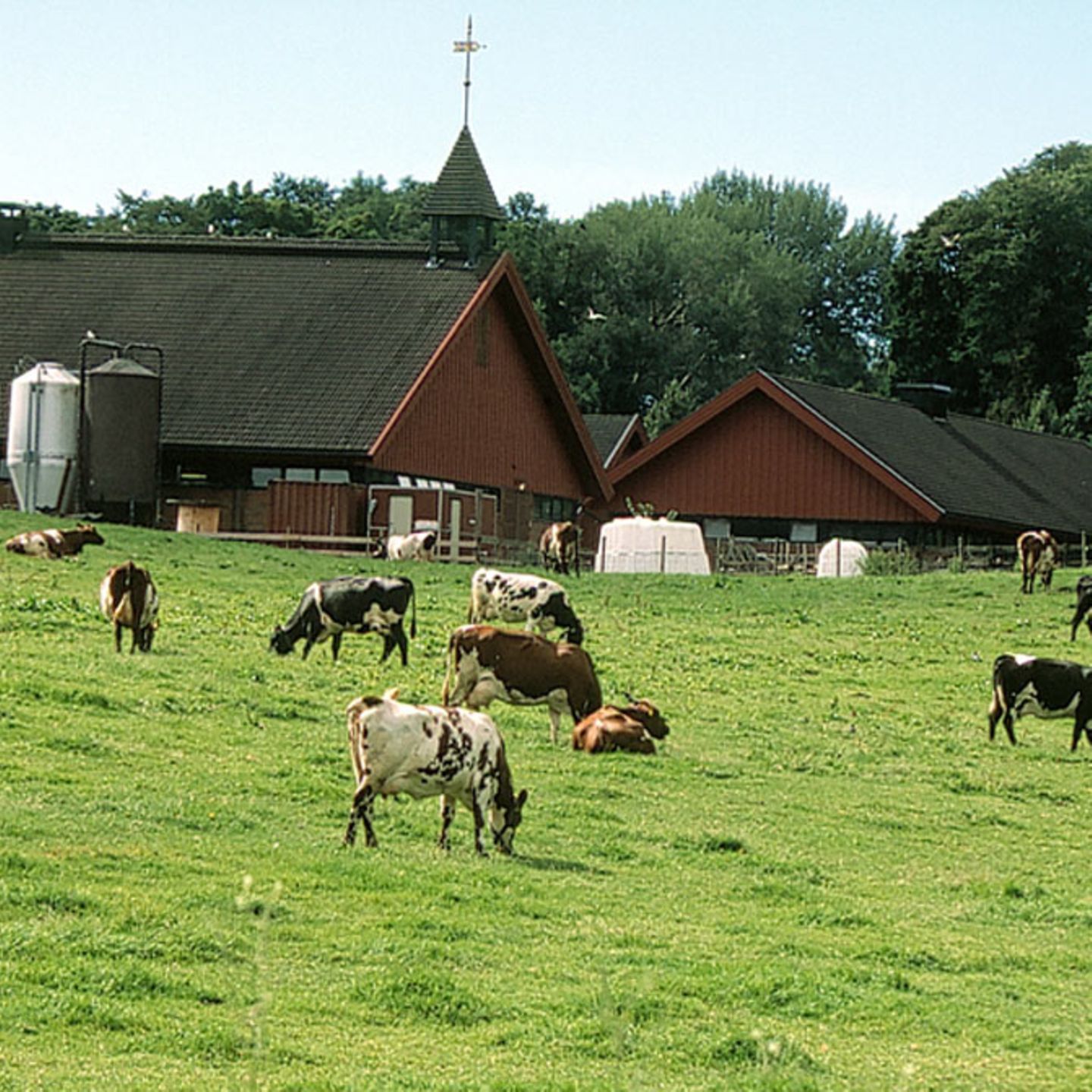 Königlicher Bauernhof