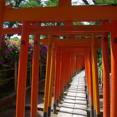 Nezu-jinja Schrein