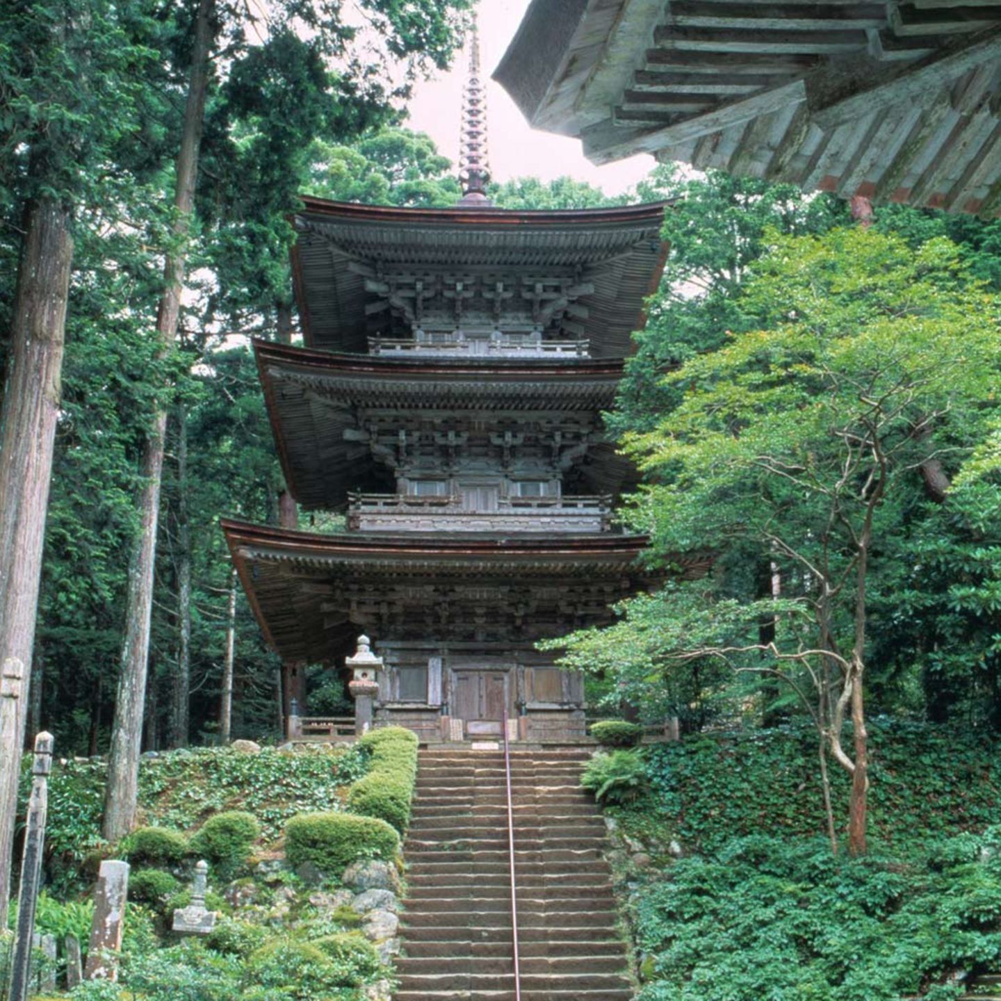 Obamas Tempel