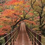 Indian Summer in Japan