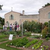 Gemüse & Obst im Musée & Labyrinthe Gourmands