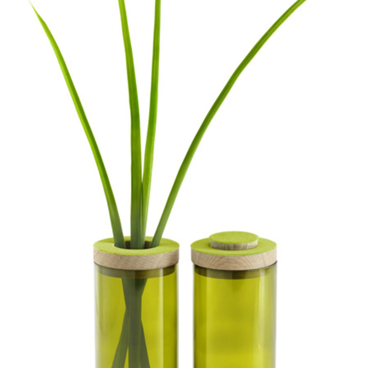 Vase? Dose? Beides!