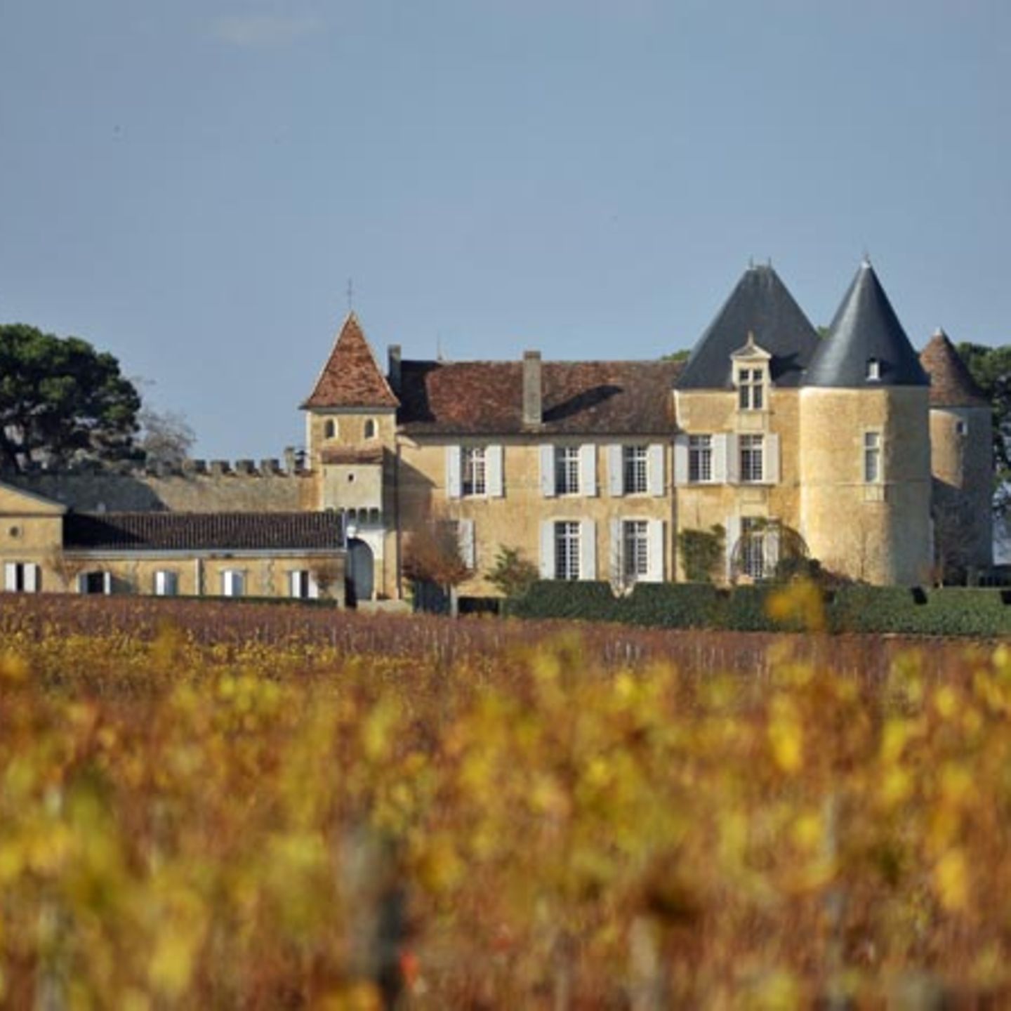 Château d' Yquem