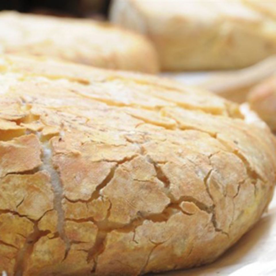 Schafskäse aus Ligurien - [ESSEN UND TRINKEN]