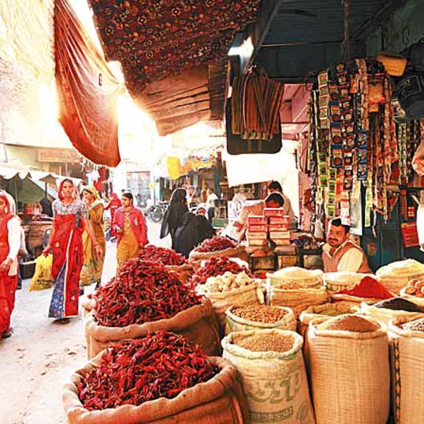 Gewürzmarkt Nawalgarh, Indien