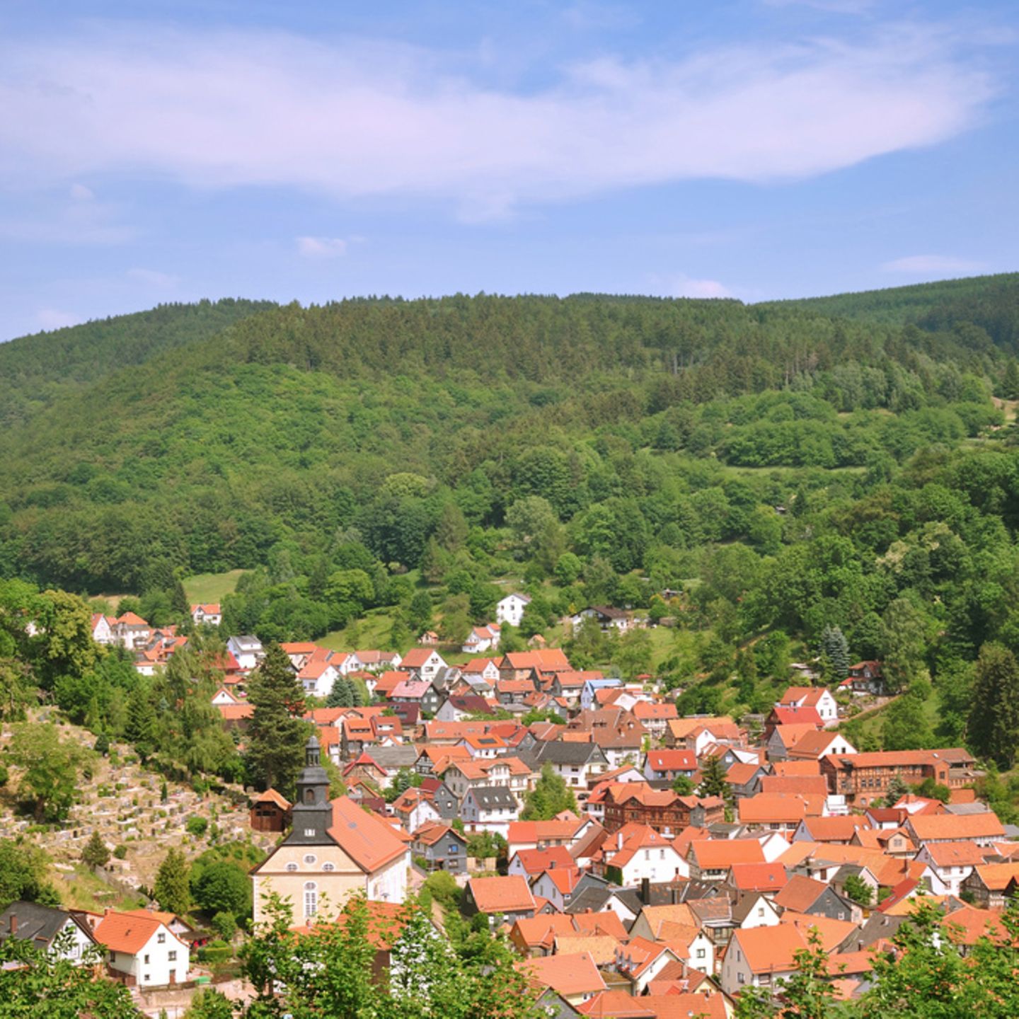 Thüringer Wald – Wellness und Natur