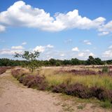 Lüneburger Heide - Stadt, Land, Spaß