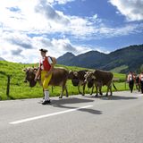 Appenzell - Am Fuß der Alpen