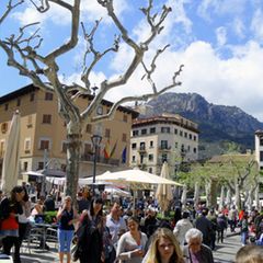 Markt in Sóller