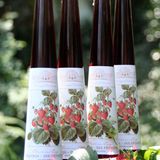 Weinessiggut Doktorenhof: Erdbeerbalsam