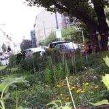 Wien: Nachbarschaftsgarten Heigerlein