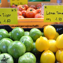 Grüne und gelbe Tomaten