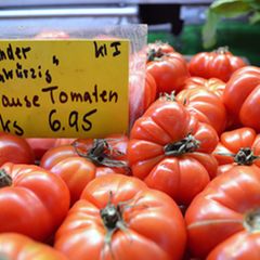 Krause Tomaten