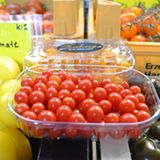 Kleinste Tomaten der Welt