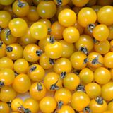 Gelbe Cherrytomaten