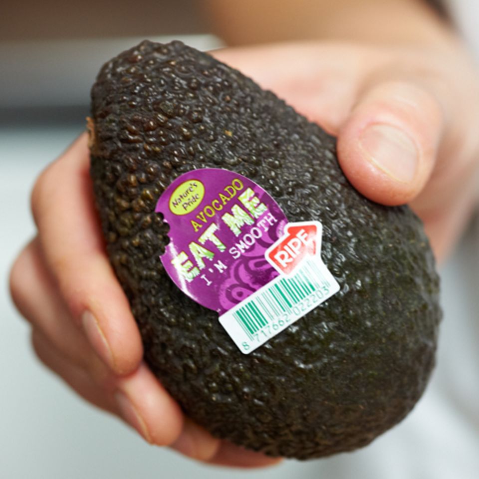 Hass Avocados sind kleiner und runder als die Sorte Fuerte Hass Avocados sind kleiner und runder als die Sorte Fuerte