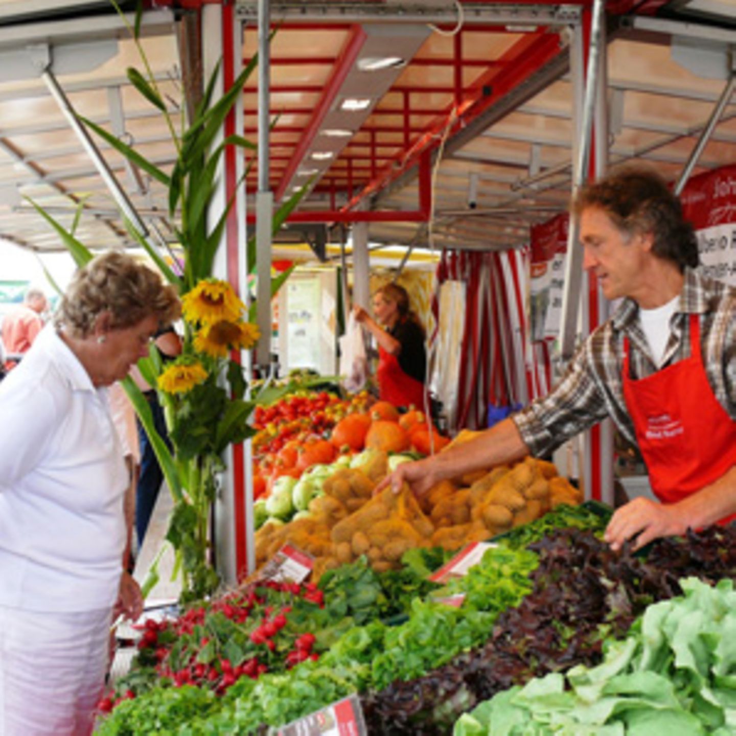 26. August 2012: Bauernmarkt auf dem Biohof Bursch