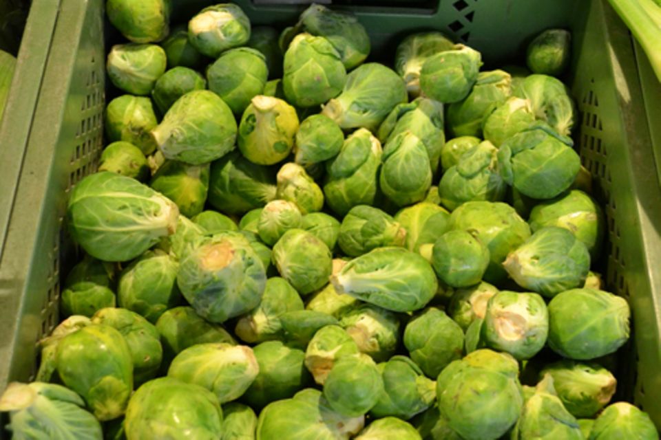 Rosenkohl Rosenkohl
