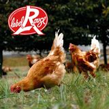 Label Rouge – französisches Geflügel aus bäuerlicher Freilandhaltung