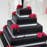 Torte im Boudoir-Stil