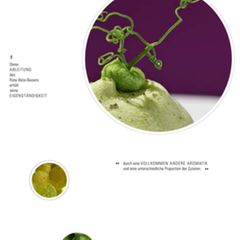 Wasabi-Baiser
